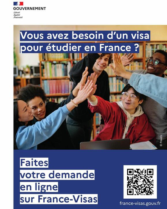 Ma demande de visa en ligne